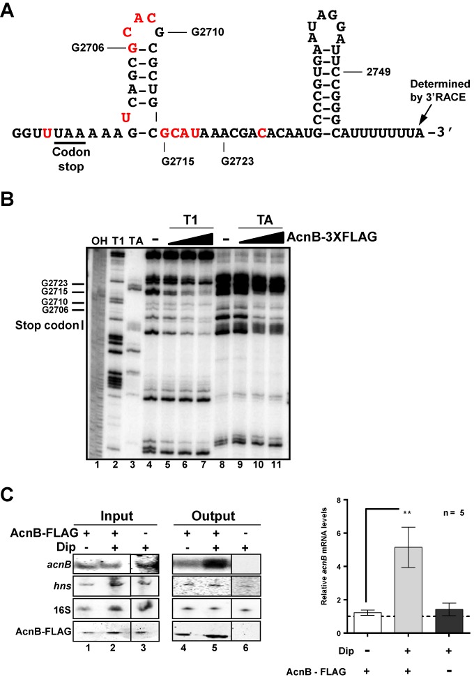 Figure 2.