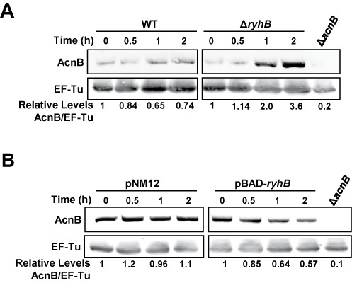 Figure 6.