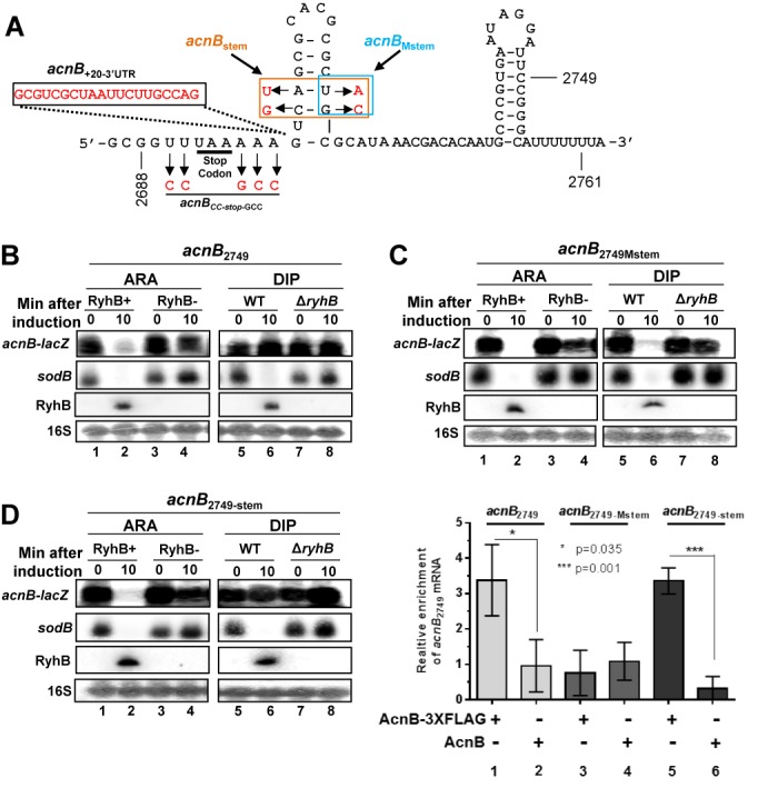 Figure 3.