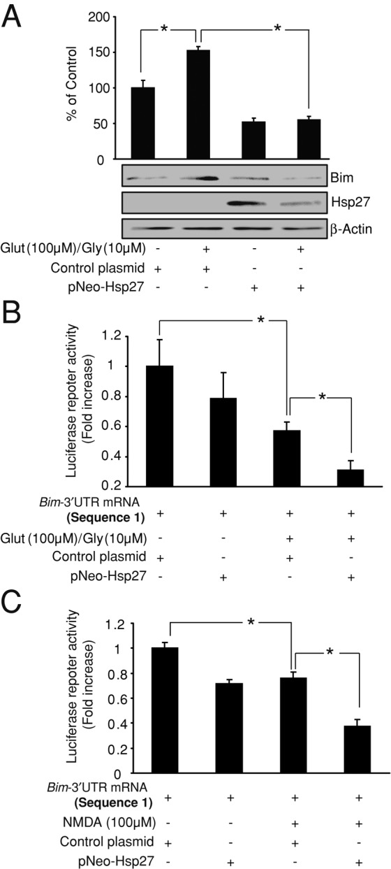 FIGURE 5: