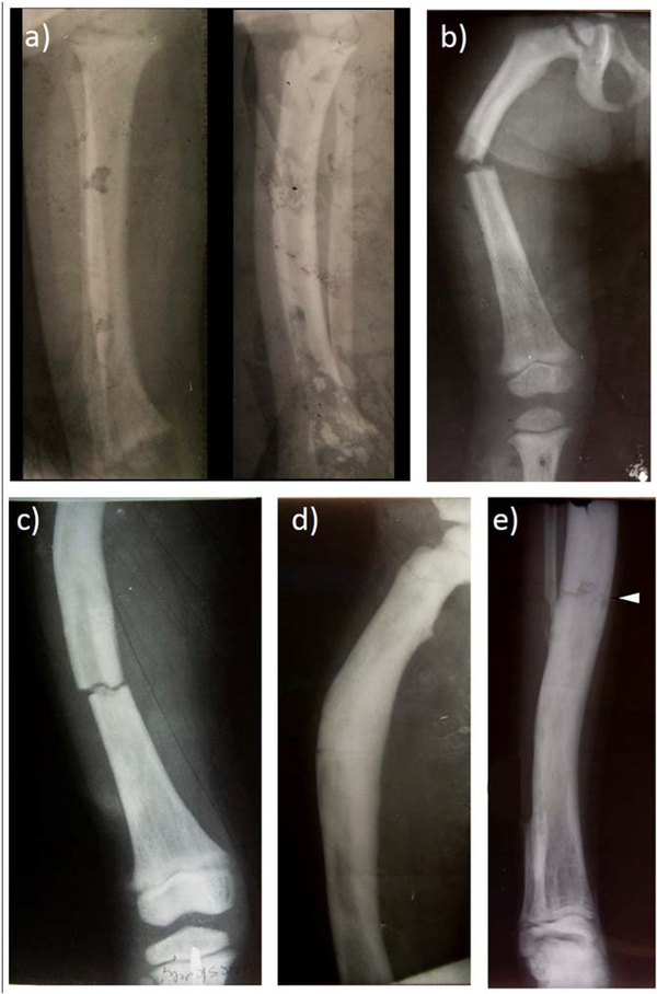 Figure 3: