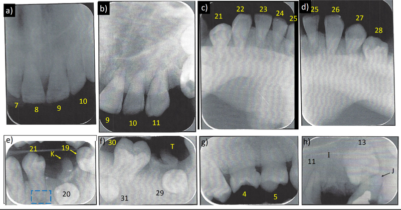 Figure 7: