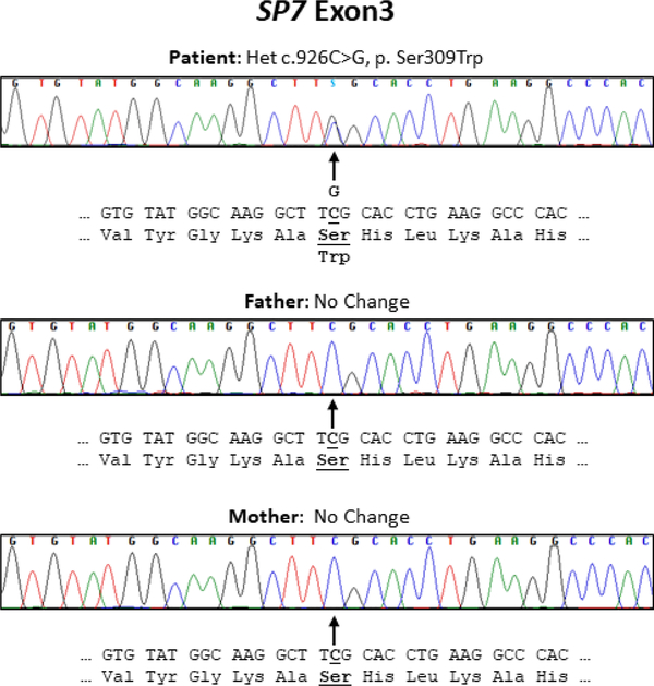 Figure 2: