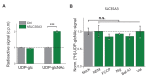 Figure 5—figure supplement 1.