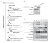 Figure 2—figure supplement 2.