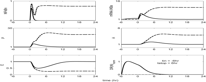 Figure 9