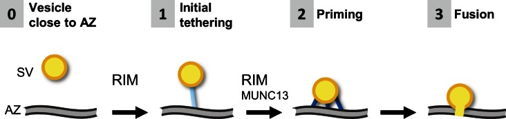 Figure 9.