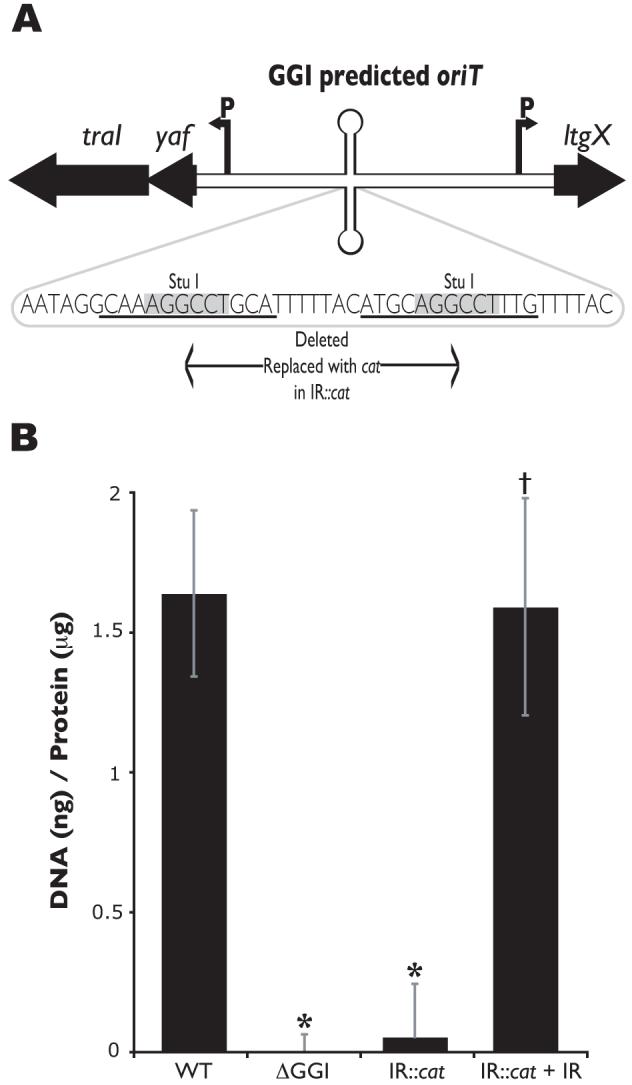 Fig. 9