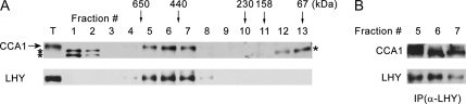 Figure 7.