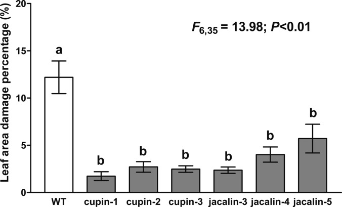 Fig. 8.