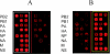 FIG. 2.