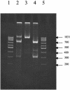 FIG. 4.