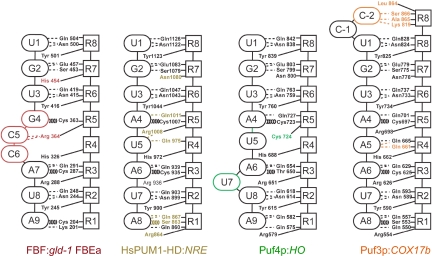 Fig. 6.