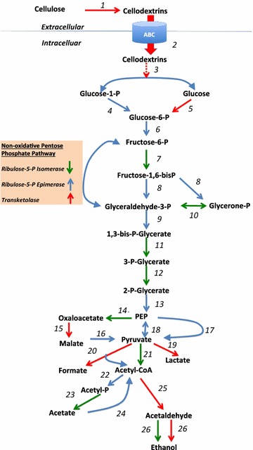 Fig. 3