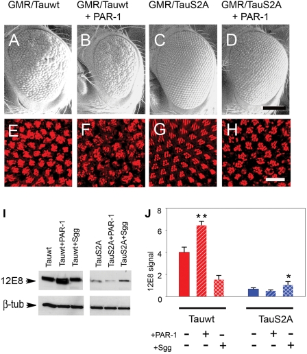 Figure 4.