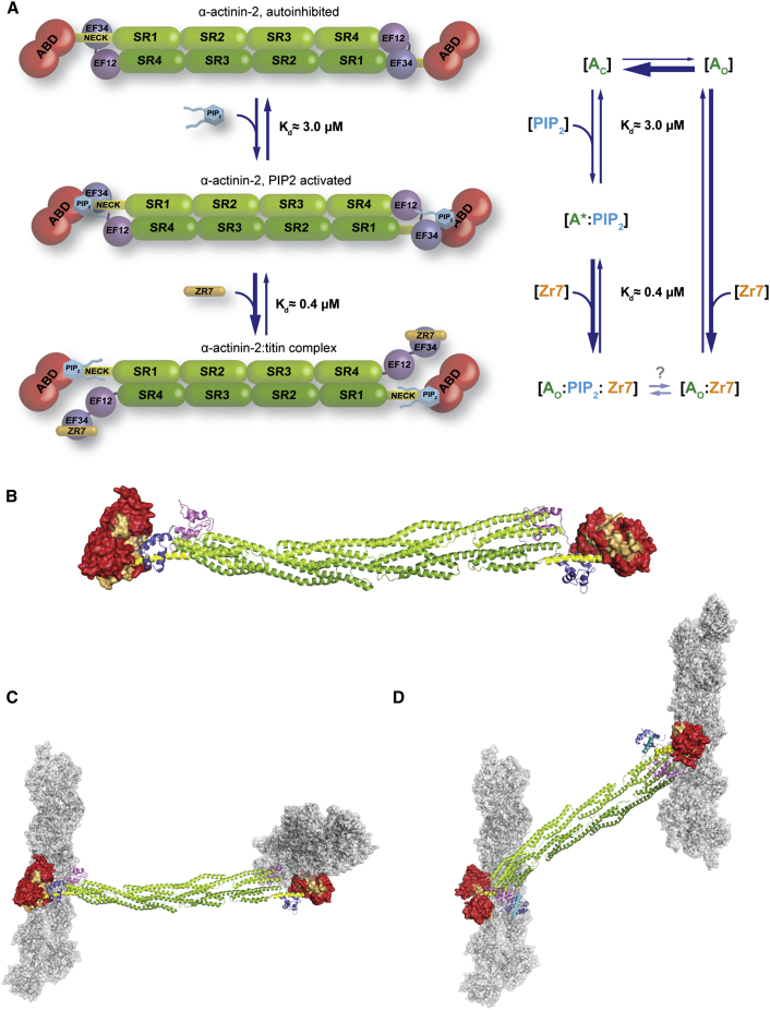 Figure 7