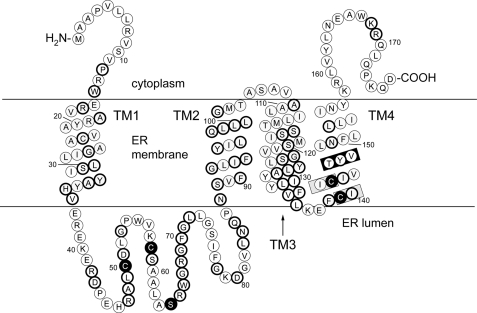 FIGURE 1.