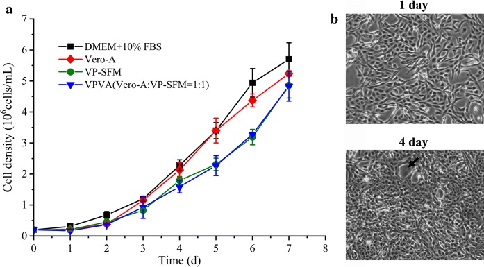 Fig. 2