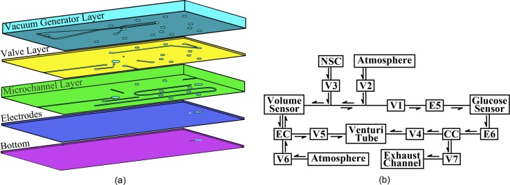 FIG. 1.