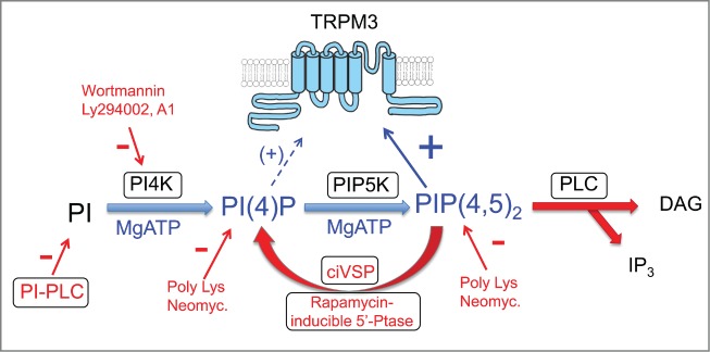 Figure 1.