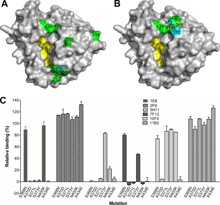 FIG 3