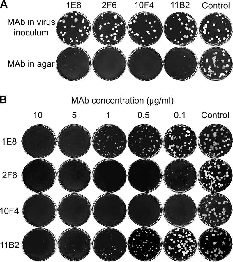 FIG 4