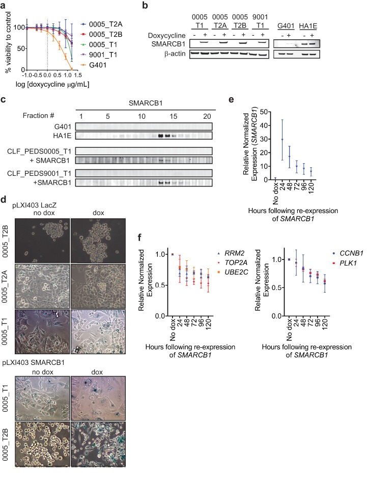 Figure 2—figure supplement 1.