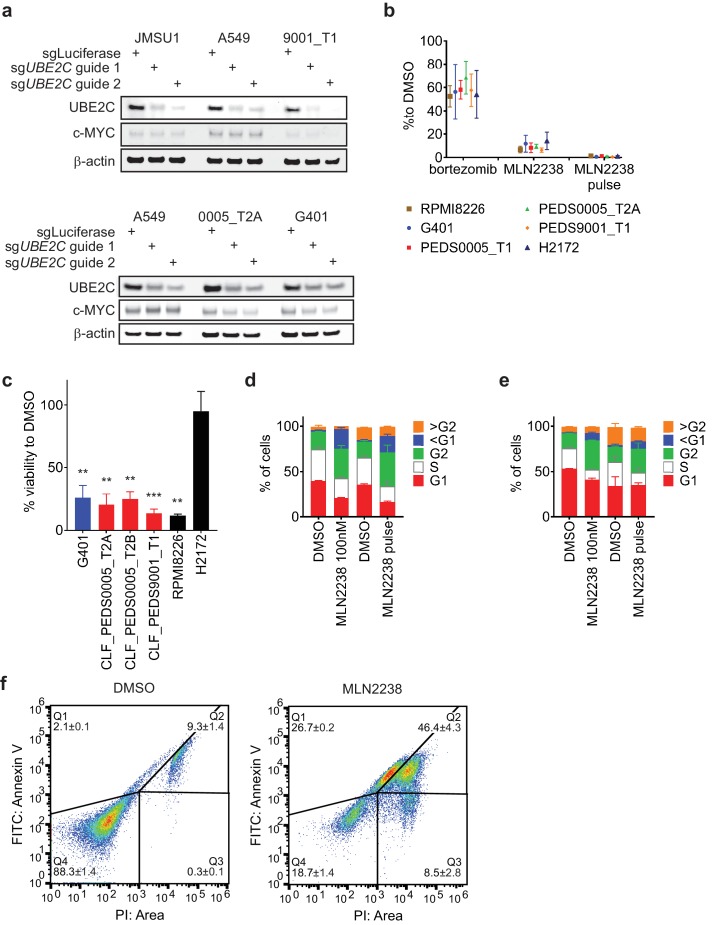 Figure 5—figure supplement 1.