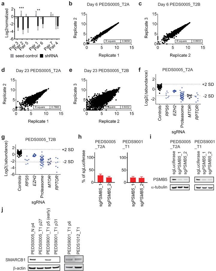 Figure 3—figure supplement 1.