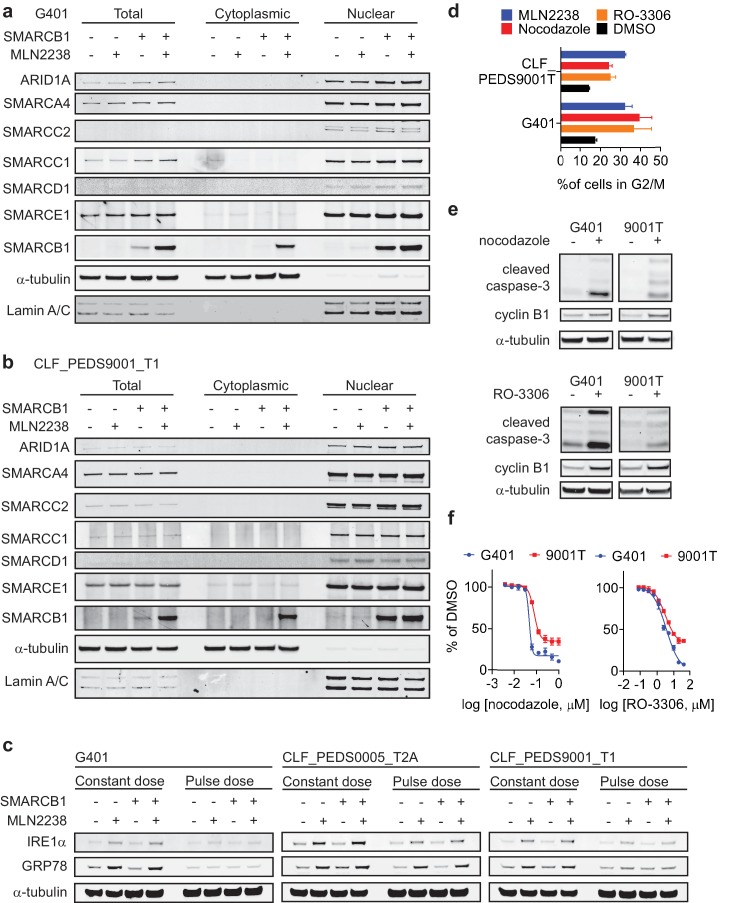 Figure 4—figure supplement 2.