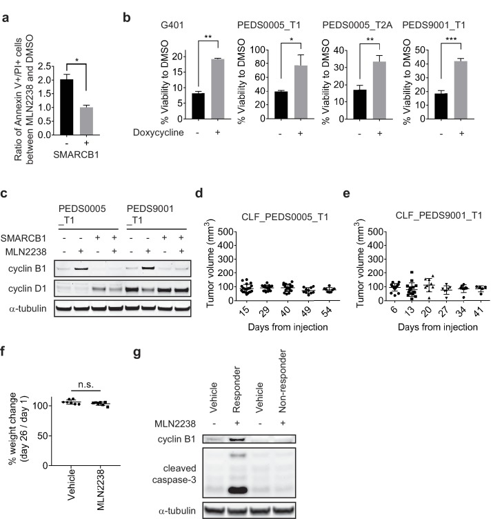 Figure 5—figure supplement 2.