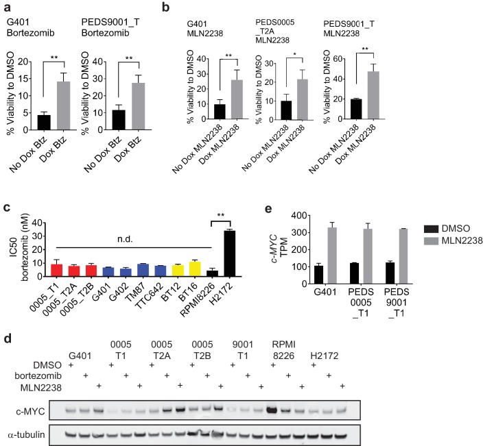 Figure 4—figure supplement 1.