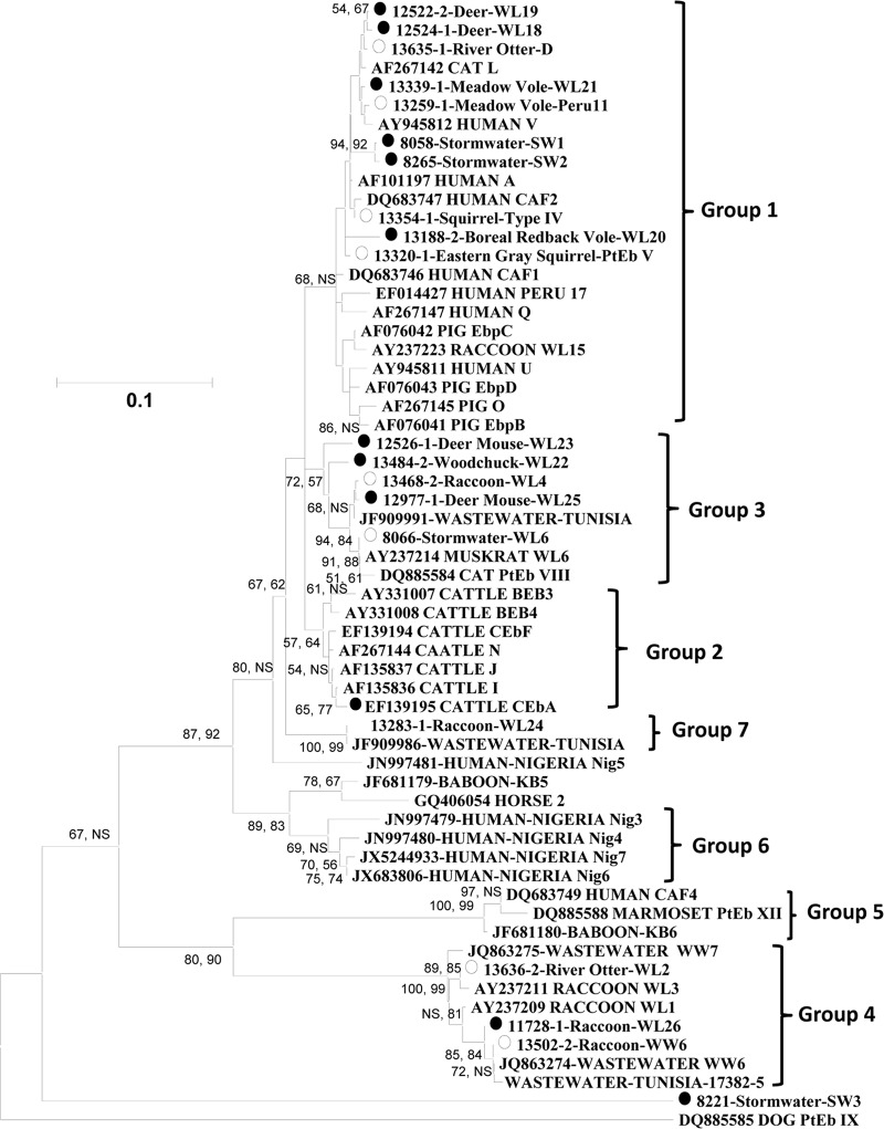 FIG 2