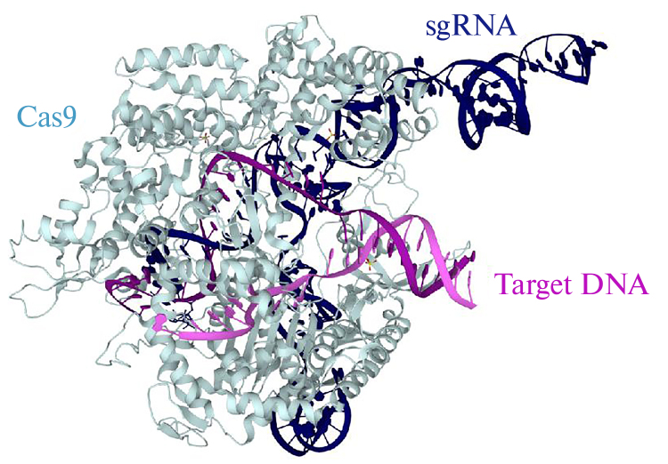 Fig. 3.