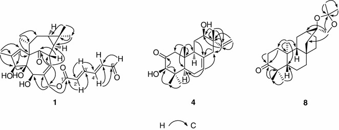 Fig. 2