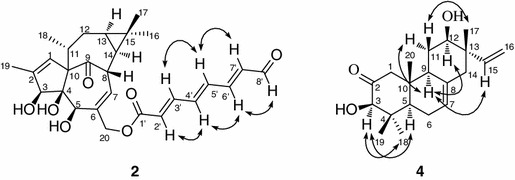 Fig. 3