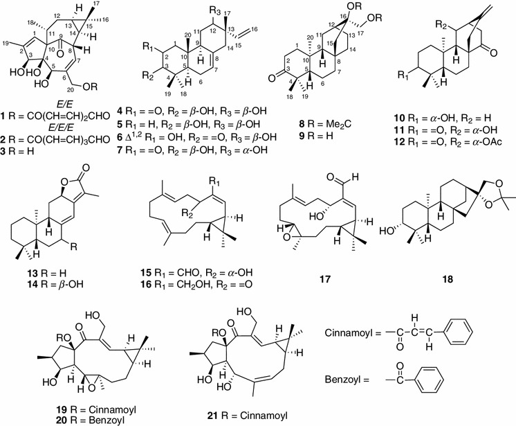 Fig. 1