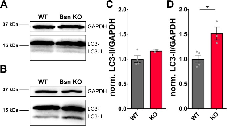 Figure 1—figure supplement 2.