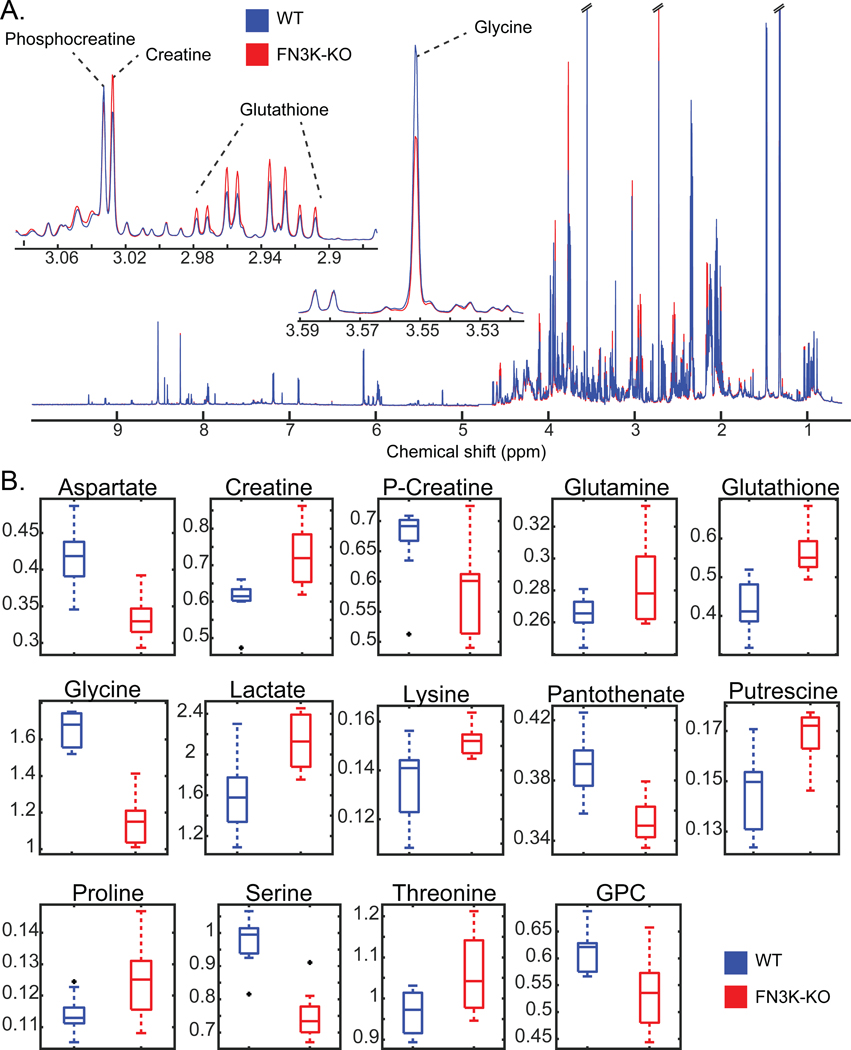 Fig. 8.