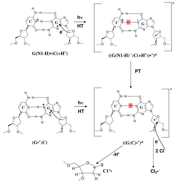 Scheme 4