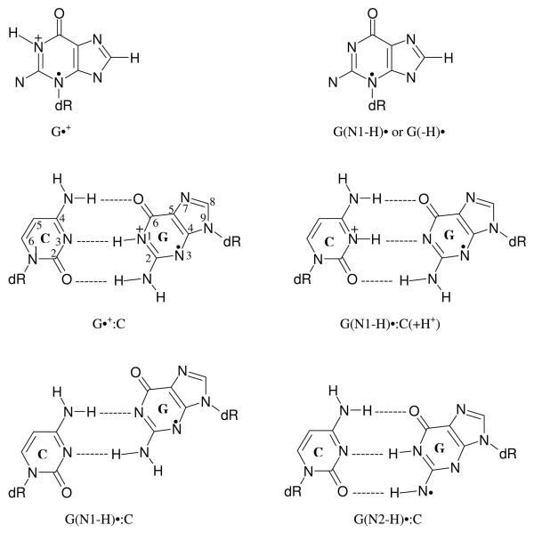 Scheme 3