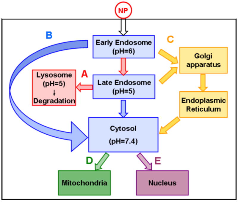 Fig.6