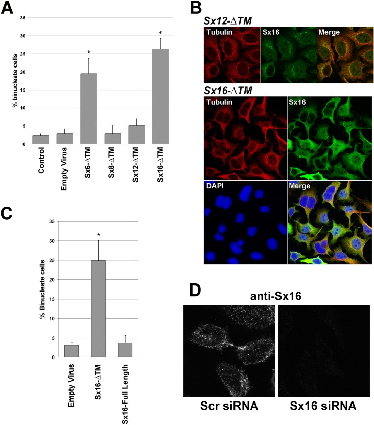 FIGURE 1: