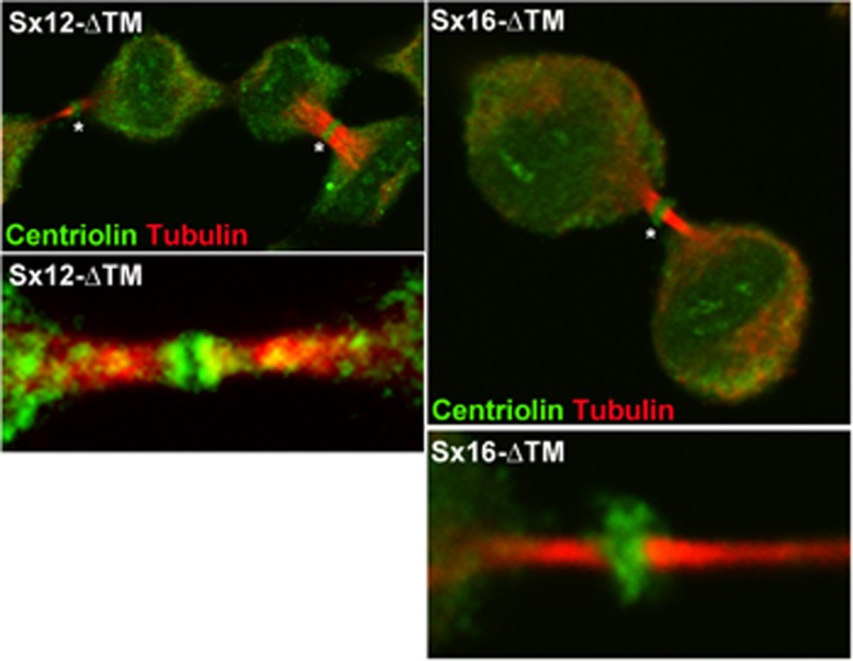 FIGURE 6: