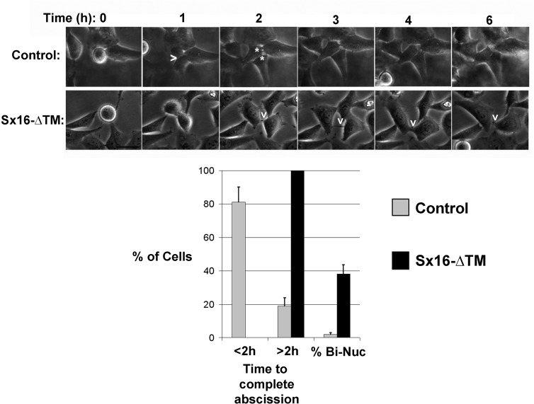 FIGURE 2: