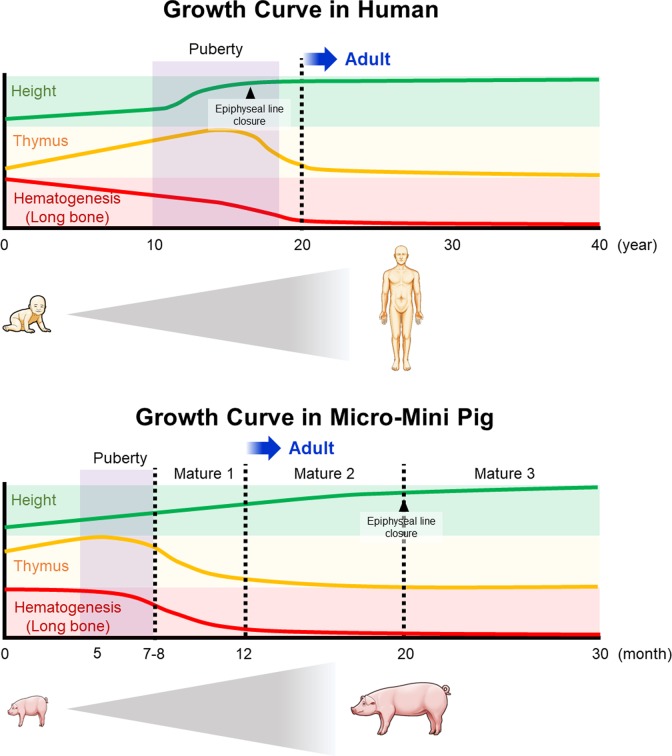 Fig 1.