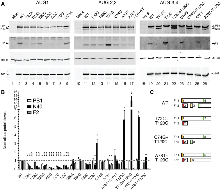 Figure 4.