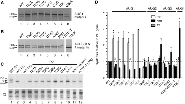 Figure 2.