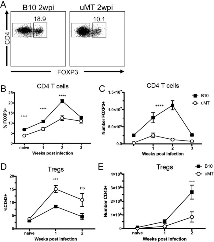 FIG 2 