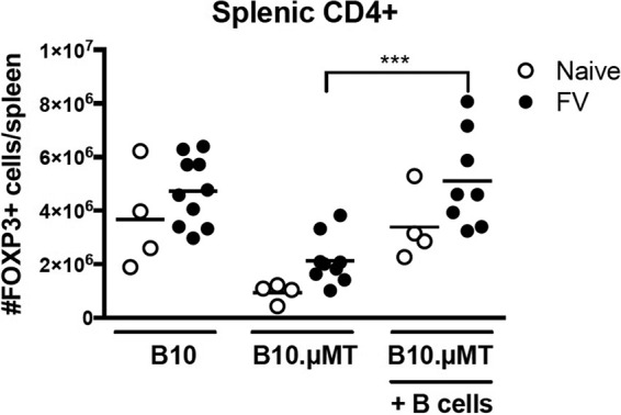 FIG 6 